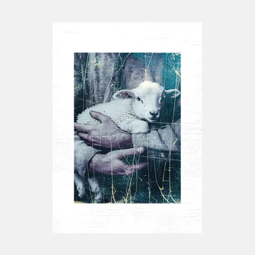 jó pásztor vászonkép