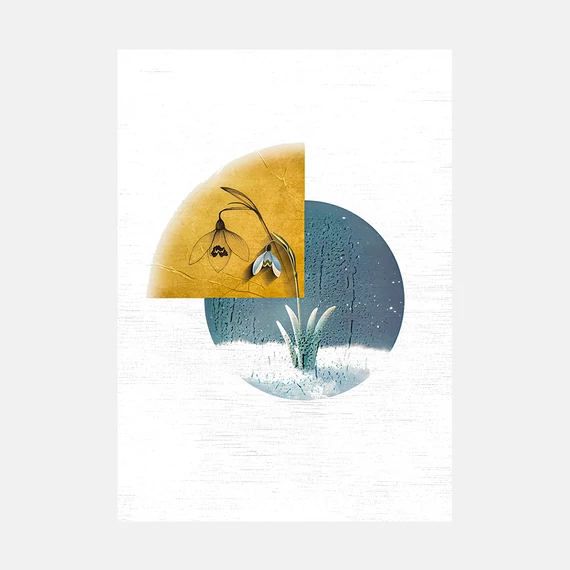 hóvirág vászonkép